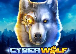 Обзор слота Cyber Wolf