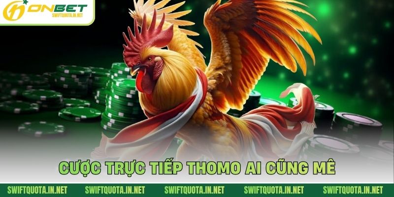 Cược trực tiếp Thomo ai cũng mê